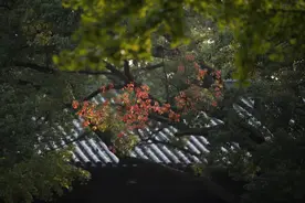 女众“生理期”的时候能拜佛吗？看看权威答案怎么说图片