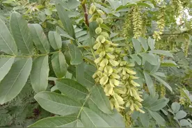 农村俗语：“男人遇三事，是祸也是福”，说的是啥意思？图片