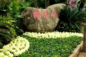 广西桂林市雁山区：“清”出靓家园 “拆”出好生活图片