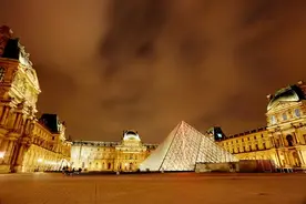 法国女星颁奖礼脱衣，抗议电影院停业令图片