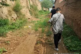 从富婆到欠款三十万，石家庄吴立华坚持救助流浪动物十余年图片