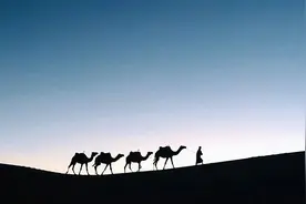 老祖宗屡试不爽的两条识人术，教你看透人心，做个明白人图片