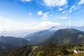 我承认，我被茂名的山迷住了！图片