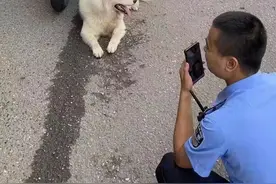 萨摩耶马路散步致雨花高桥立交桥路段拥堵，网友：真正的堵成狗！图片