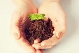 中国人你收到了“中”字给你的信息了吗？图片