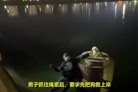 湖北孝感：“铲屎官”为救落水爱犬被困 消防连人带狗救上岸图片