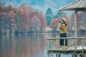 何炅高情商的背后：人心三大定律图片