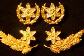 谈谈文职干部的肩章、领花、岗位等级标志图片