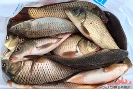 年夜饭做鱼，如何购买、保存并预处理鱼，这篇文章来告诉你图片