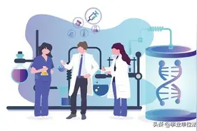 科研事业单位岗位的类别、等级及名称图片