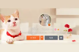 B站up主“花花与三猫”停更，到底能不能买后院？图片