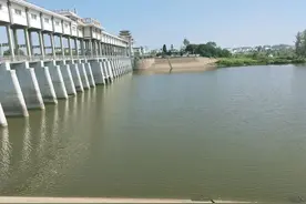 “大众创业”的结局—经商难度提高了，为什么变成大家硬伤害了呢图片