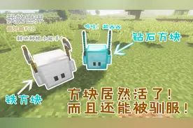 我的世界番外篇28：方块还能做宠物？原来驯服之后还这些功能！视频封面