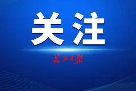 除夕当天武汉政务服务“线上”办件量315件，绝大多数群众申请当天办结图片