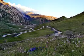 柴达木自驾行第七日：有冬雪有夏花的德令哈柏树山图片