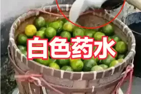 广西南宁，一果农朝橘子上泼白色液体，引发争议，网友：不敢吃图片