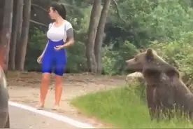 罗马尼亚心大女子与路边棕熊合照，结果被吓得花容失色，有惊无险图片