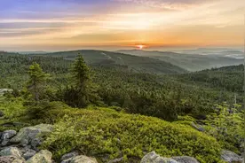 看似狡猾，实则人品过关的星座，外表很单纯，但内心早已千疮百孔图片