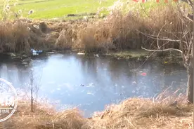 女老师骑三轮车被撞进沟渠，眼看要没顶，男子一跃而下奋力托举图片