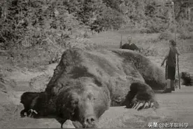 究极钓鱼人！战斗民族单挑恶熊获胜，我们遇到时该怎么办？图片