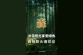 森林防火｜标语要牢记，防患于未然图片