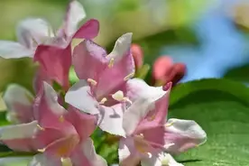 心理学：当一个人意识到自己即将死去，会出现4种感觉图片