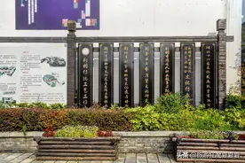 无风风筝，贝壳作画，荆州这所中职学校里竟藏着如此神奇的博物馆图片