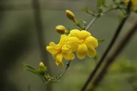 真正有福气的家庭，懂得“慢慢来”图片
