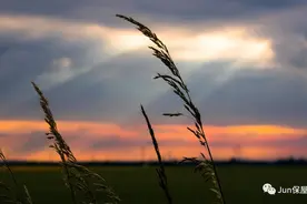 仅1条！这款百万医疗险健康告知很宽松，几乎人人可购买图片