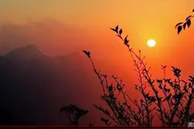 朝花夕拾，把往日时光酿成琼浆图片