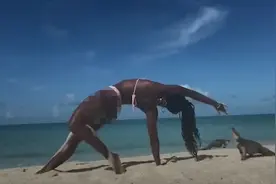 外国女子穿比基尼海滩上练瑜伽，突然被鬣蜥咬住手指，网友笑喷图片
