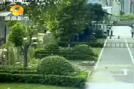 事发长沙！小区保安挡车被撞，业主称其中有隐情？社区介入协调图片