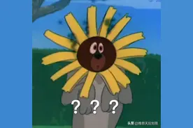 还不快收藏！一篇文章读懂四六级和雅思的区别图片