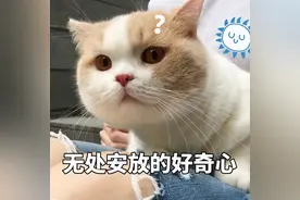 你下载过的成人影片，可能正在被人偷偷查看图片