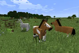 速度的极限《我的世界》谁最适合送外卖？第一名竟然不是末影人图片