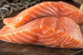 三文鱼历史：淡水中走出的鱼类，我国还未规模养殖，无法自给自足图片