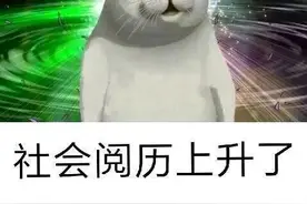 厦门惊现“豪车一条街”！劳斯莱斯、法拉利组团摆地摊！网友：有钱任性图片