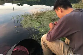 钓鱼中的“黑话”知多少？能听懂10个以上的是老钓手图片