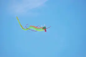 这里是南方最大的风筝基地，果然名不虚传图片