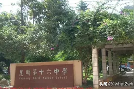 昆明市盘龙区公办学校汇总图片