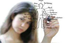 96年的南大案，凶手是否可能为女性？图片
