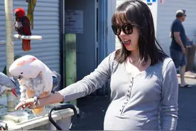 孕初不添衣、三月不声张、生不先报喜，异曲同工之处，竟不是迷信图片