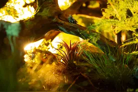 昆明市区周末游，带娃学习自然知识的地方，你知道几个？图片