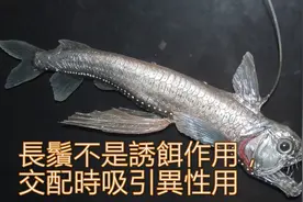 十大恐怖，超级吓人的海洋怪物，你知道哪些？图片