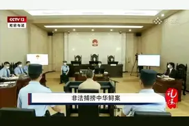 男子抓捕“国宝”中华鲟出售失败自己吃 一审获刑一年四个月图片