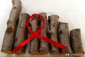 在农村很常见的桃木，却没人愿意用，为啥？能和红木媲美吗？图片