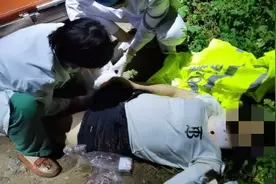 衡水：醉酒女子高速公路上“如厕”不慎从10米高桥上坠落图片