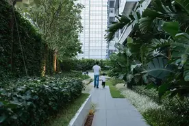 适合做院子围栏用的植物，既美观又能吸收有害气体，赶紧收藏图片