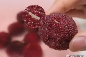 18条水果冷知识，一起分享吧图片