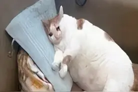 心脏支架/搭桥怎么选？为啥手术之后的康复特别重要？图片